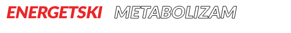 metabolism-energetic